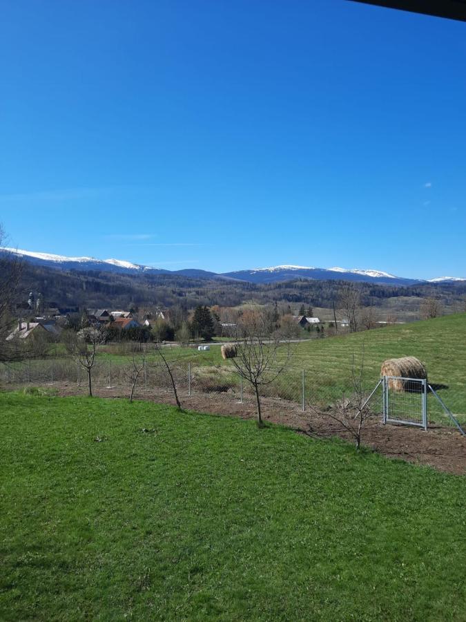 Arnikowa Widokowka Villa Sosnówka Kültér fotó