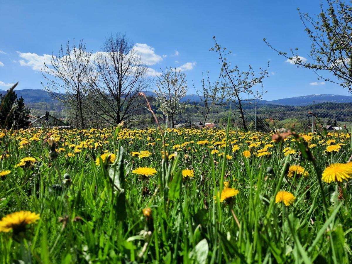 Arnikowa Widokowka Villa Sosnówka Kültér fotó